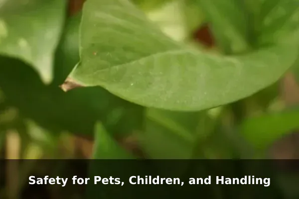 Safety for Pets, Children, and Handling