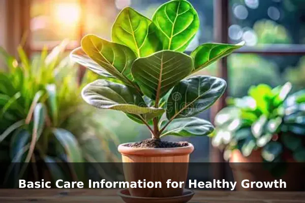 Basic Care Information for Healthy Growth