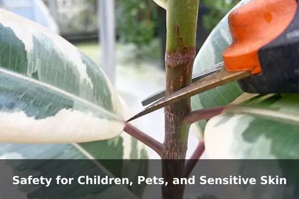 Safety for Children, Pets, and Sensitive Skin