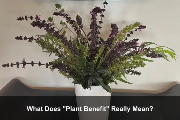What Does "Plant Benefit" Really Mean?