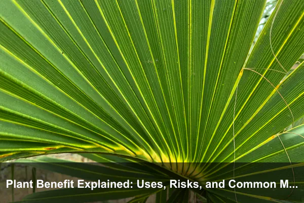 Plant Benefit Explained: Uses, Risks, and Common Mistakes