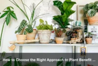 How to Choose the Right Approach to Plant Benefit for Your Goals How to Choose the Right Approach to Plant Benefit for Your Goals