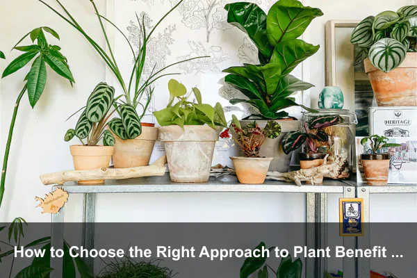 How to Choose the Right Approach to Plant Benefit for Your Goals
