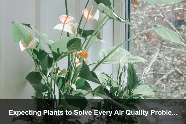 Expecting Plants to Solve Every Air Quality Problem