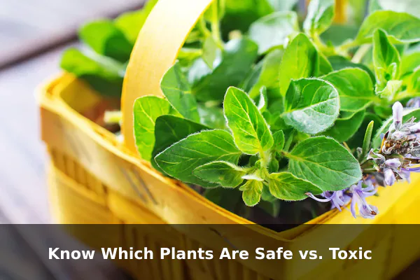 Know Which Plants Are Safe vs. Toxic