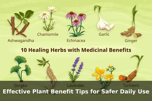 Effective Plant Benefit Tips for Safer Daily Use