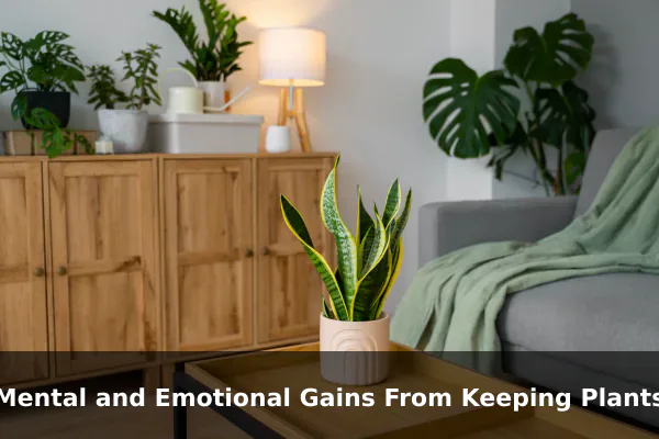 Mental and Emotional Gains From Keeping Plants