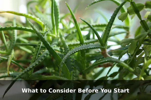 What to Consider Before You Start