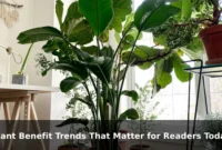 Plant Benefit Trends That Matter for Readers Today Plant Benefit Trends That Matter for Readers Today