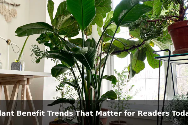 Plant Benefit Trends That Matter for Readers Today