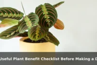 A Useful Plant Benefit Checklist Before Making a Decision A Useful Plant Benefit Checklist Before Making a Decision
