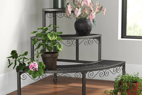 bright indoor corner easy-care houseplants shelf