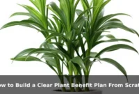 How to Build a Clear Plant Benefit Plan From Scratch How to Build a Clear Plant Benefit Plan From Scratch