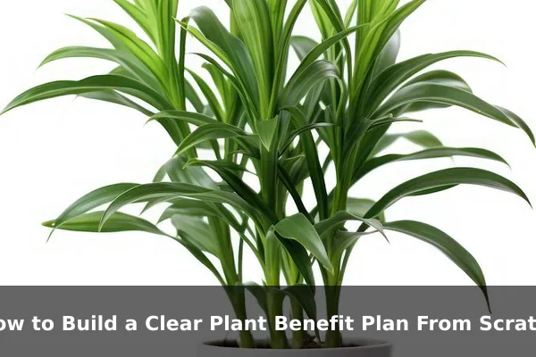 How to Build a Clear Plant Benefit Plan From Scratch