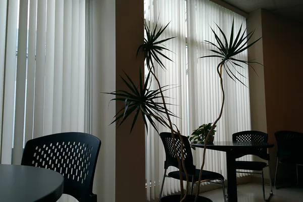 Use Light and Location as the First Filter