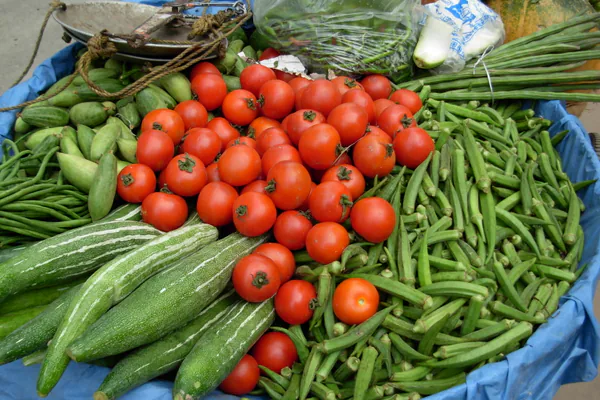 Best Plants for Everyday Nutrition