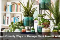 Budget-Friendly Ways to Manage Plant Benefit Without Losing Quality Budget-Friendly Ways to Manage Plant Benefit Without Losing Quality