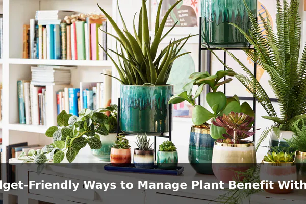 Budget-Friendly Ways to Manage Plant Benefit Without Losing Quality