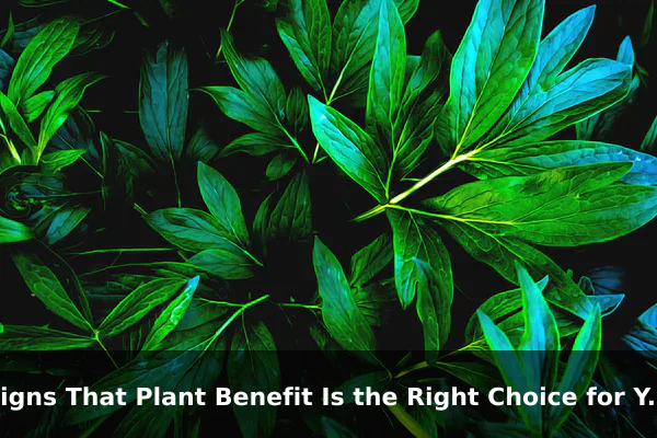 Signs That Plant Benefit Is the Right Choice for Your Needs