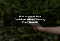 How to Avoid Poor Decisions When Choosing Plant Benefit How to Avoid Poor Decisions When Choosing Plant Benefit