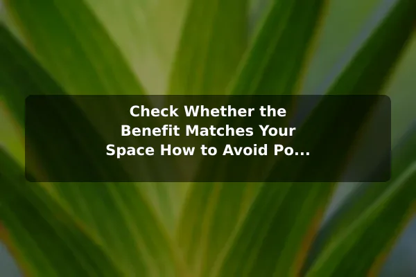 Check Whether the Benefit Matches Your Space How to Avoid Poor Decisions When Choosing Plant Benefit