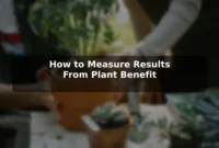 How to Measure Results From Plant Benefit