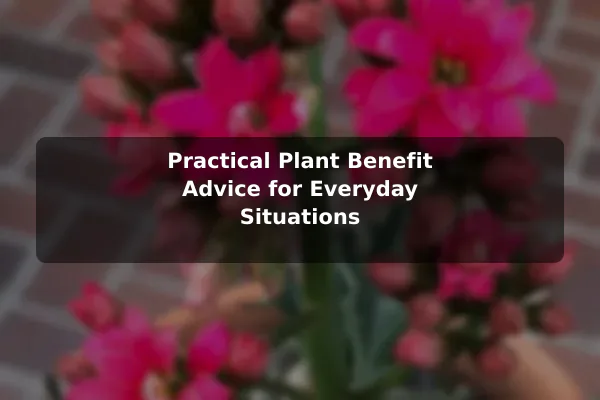 Practical Plant Benefit Advice for Everyday Situations