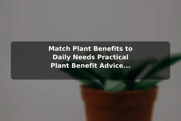 Match Plant Benefits to Daily Needs Practical Plant Benefit Advice for Everyday Situations