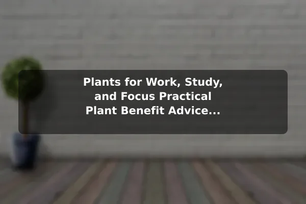 Plants for Work, Study, and Focus Practical Plant Benefit Advice for Everyday Situations